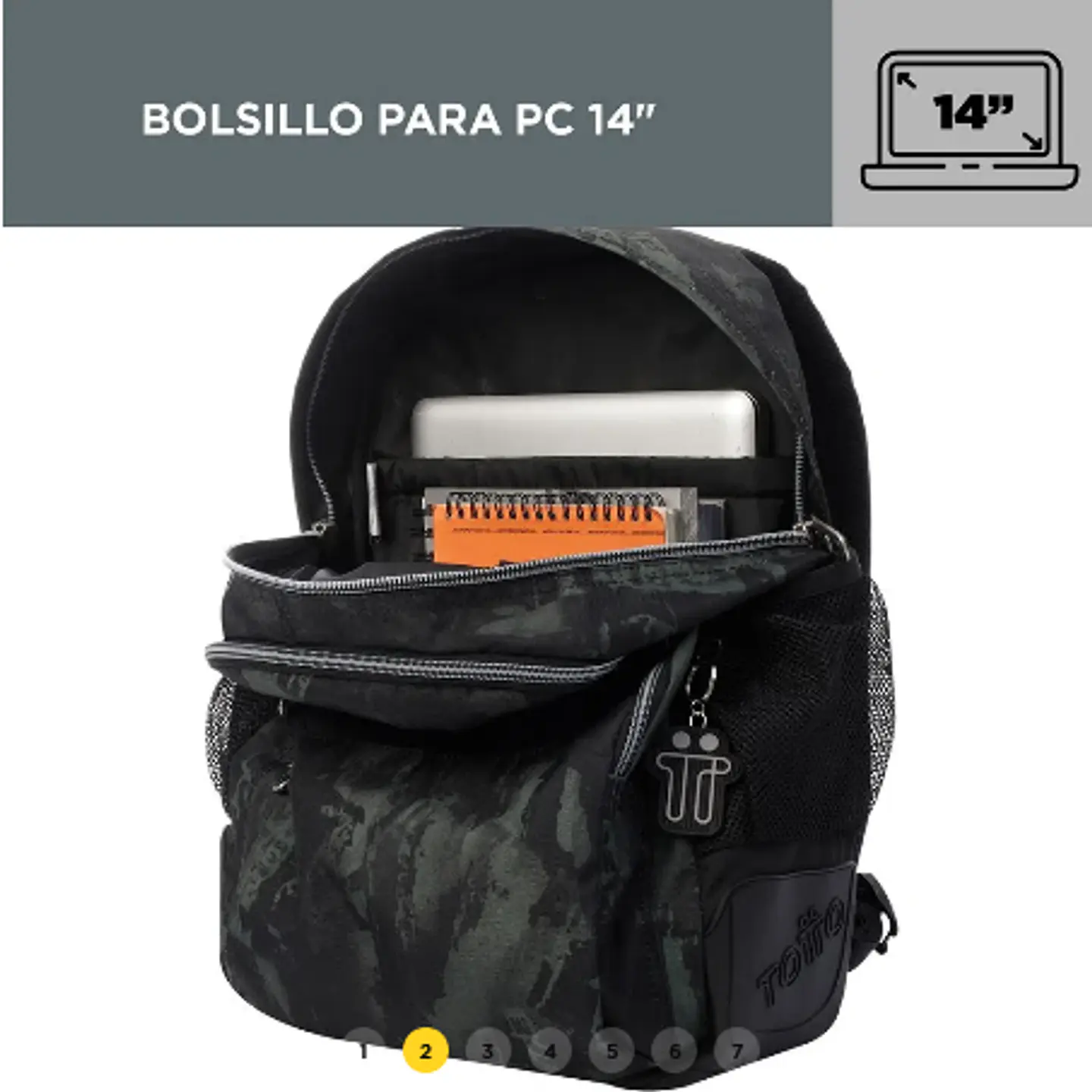 Morral Rayol 5