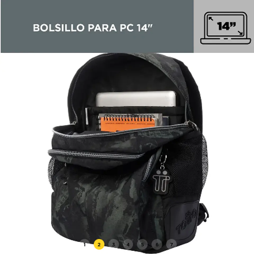 Morral Rayol 5