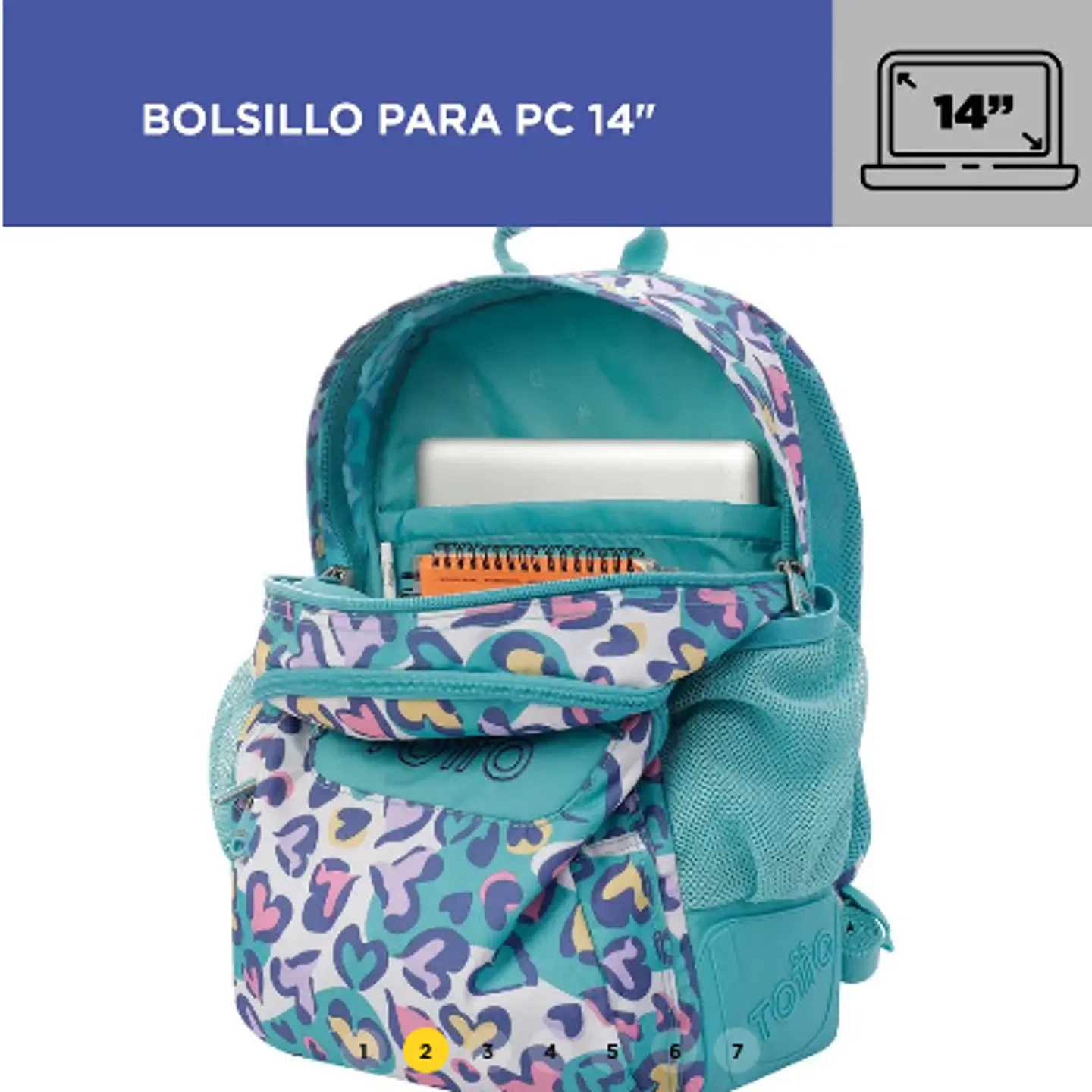 Morral Rayol 9