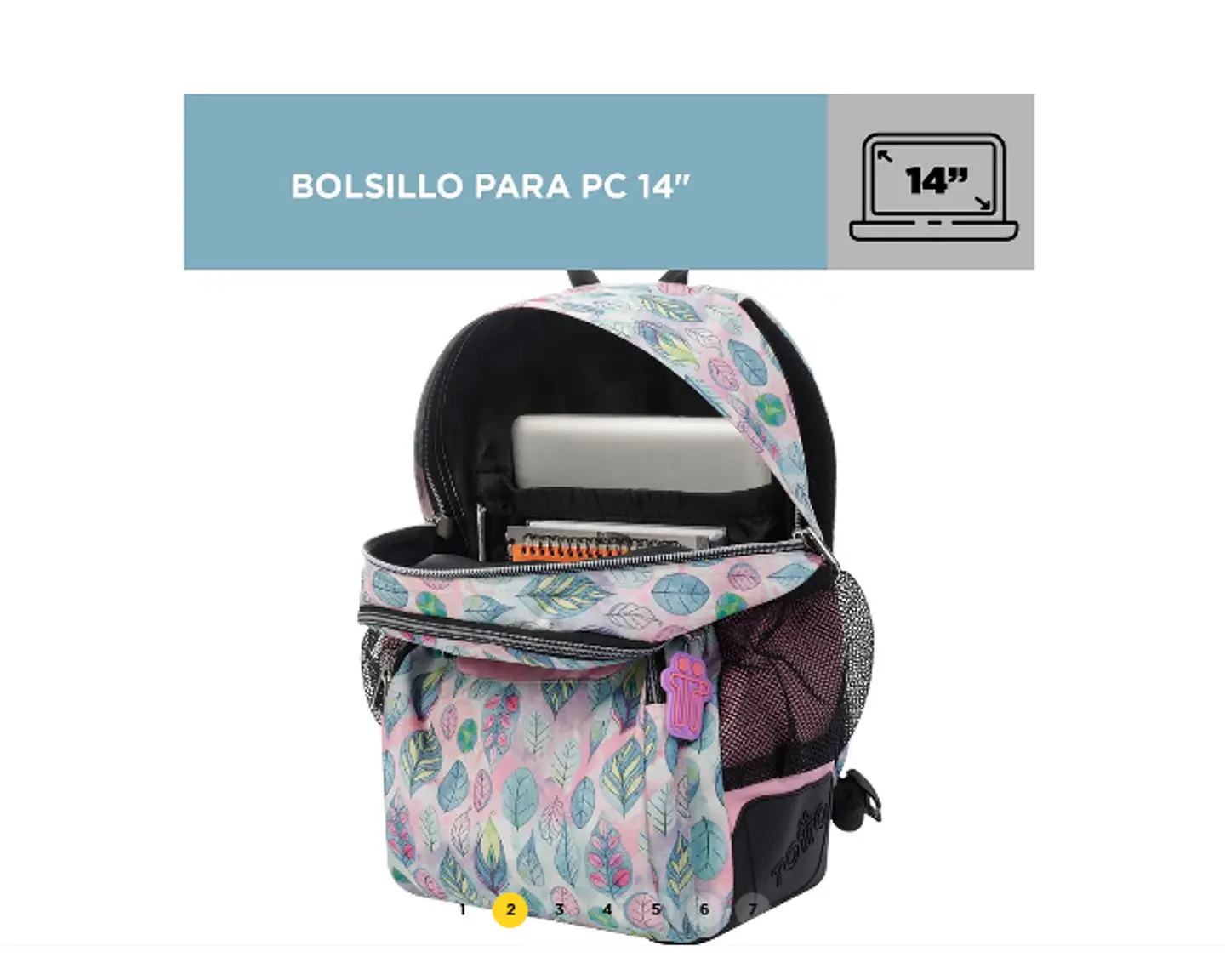 Morral Rayol 15