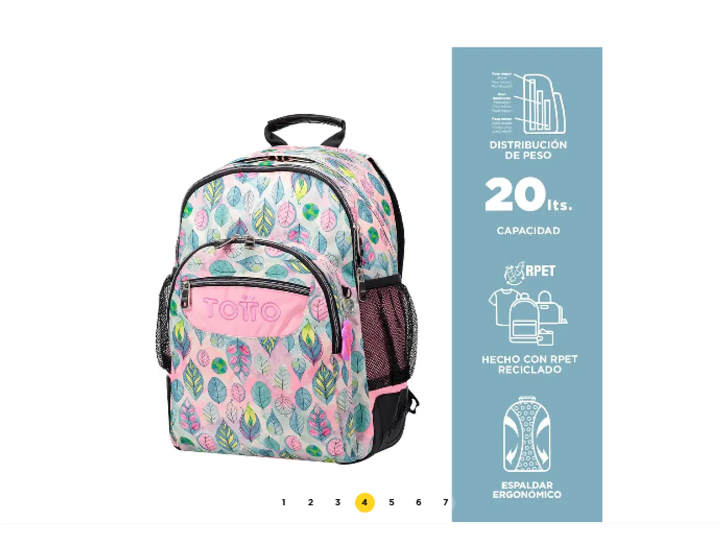 Morral Rayol 16