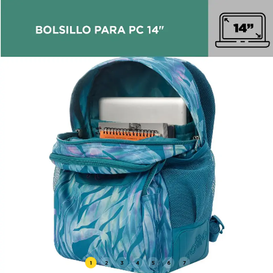 Morral Rayol 18