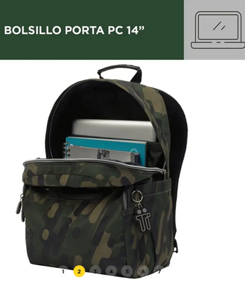 Morral Totto Acuarela 5