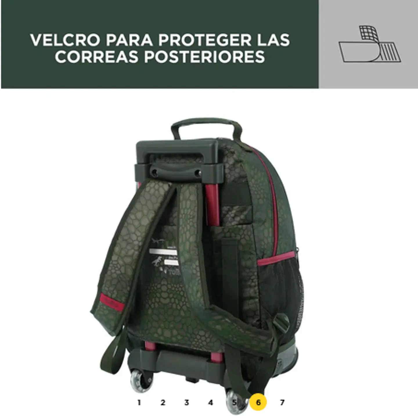 Morral Rue Bomper T-Rex M  6