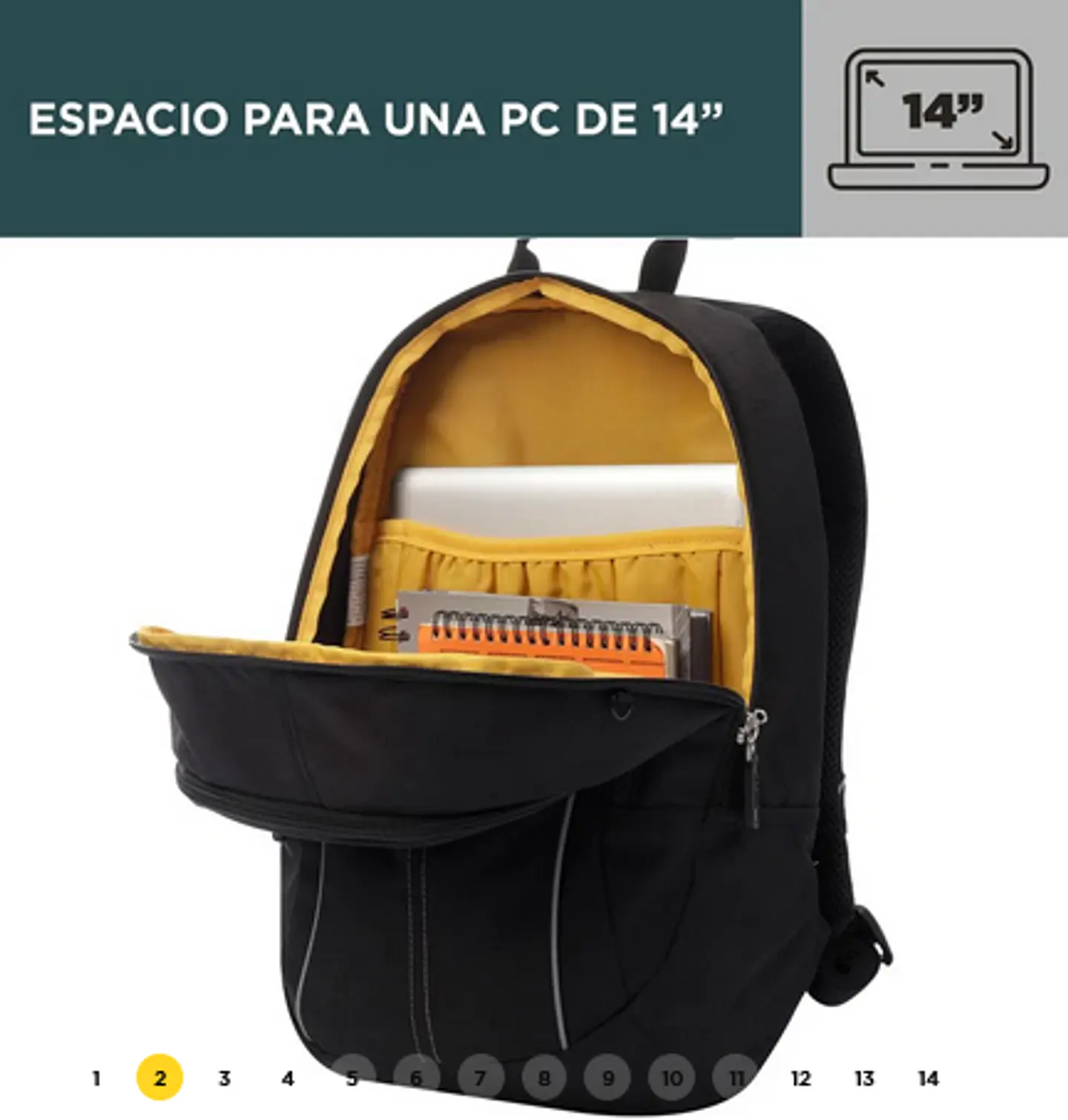 Morral Arvar 13
