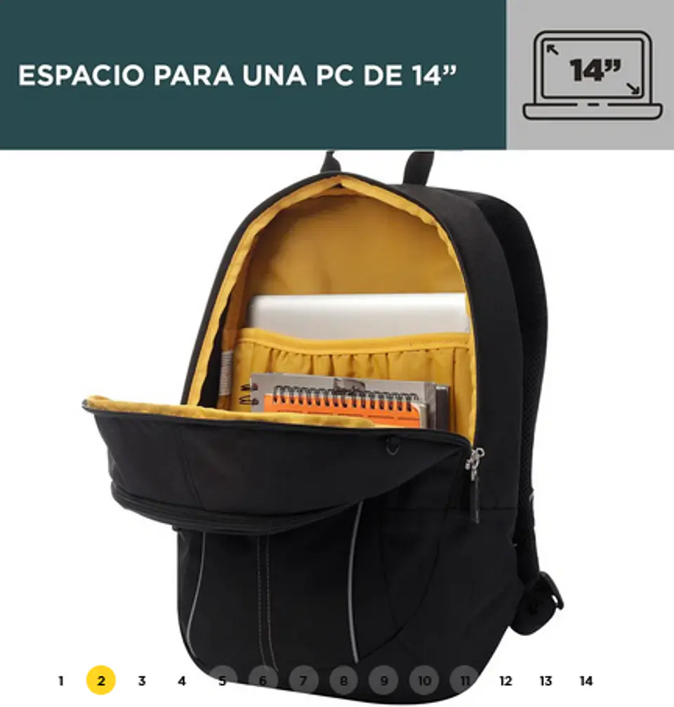 Morral Arvar 13