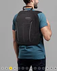 Morral Arvar - Miniatura 14