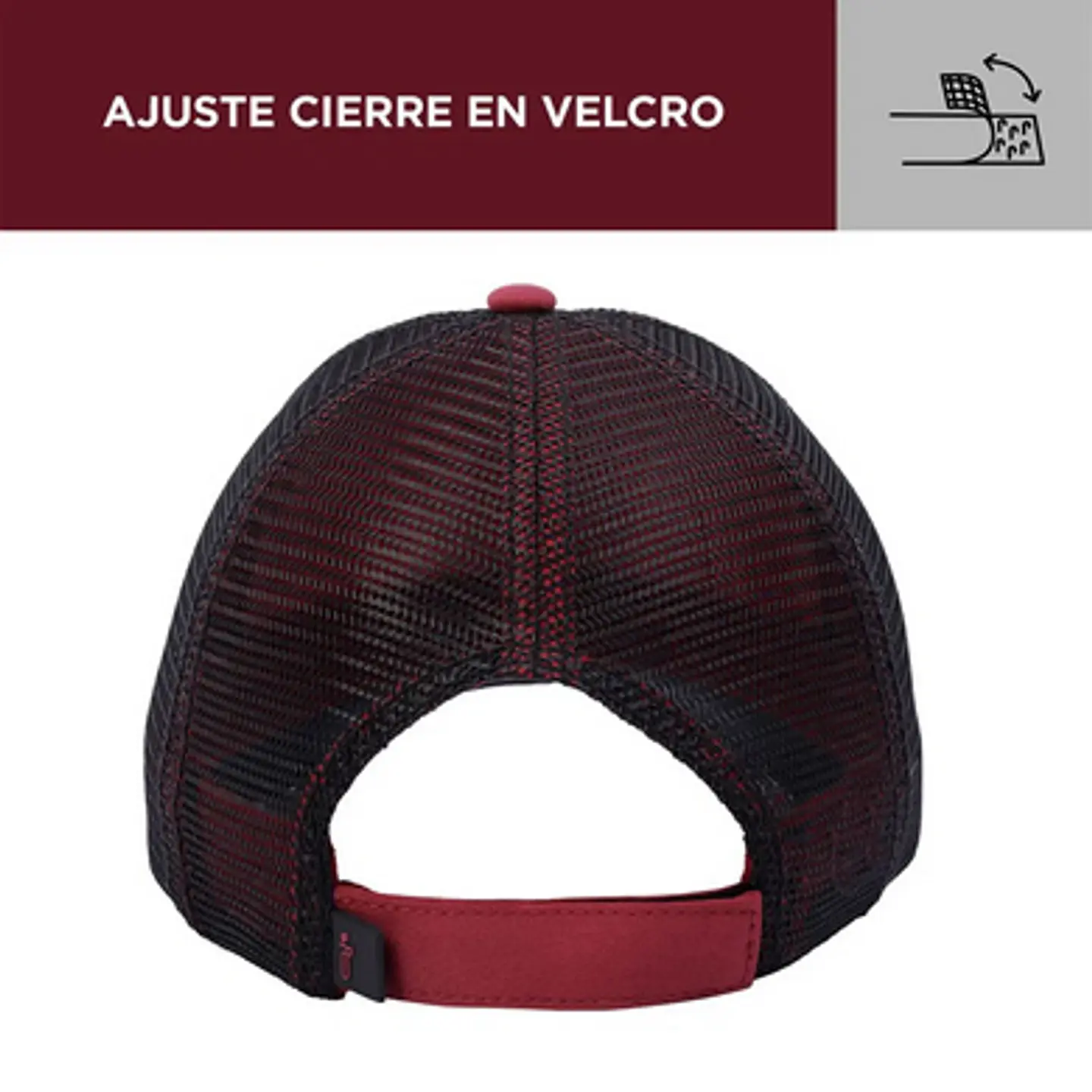 Gorra Malla Morus 11