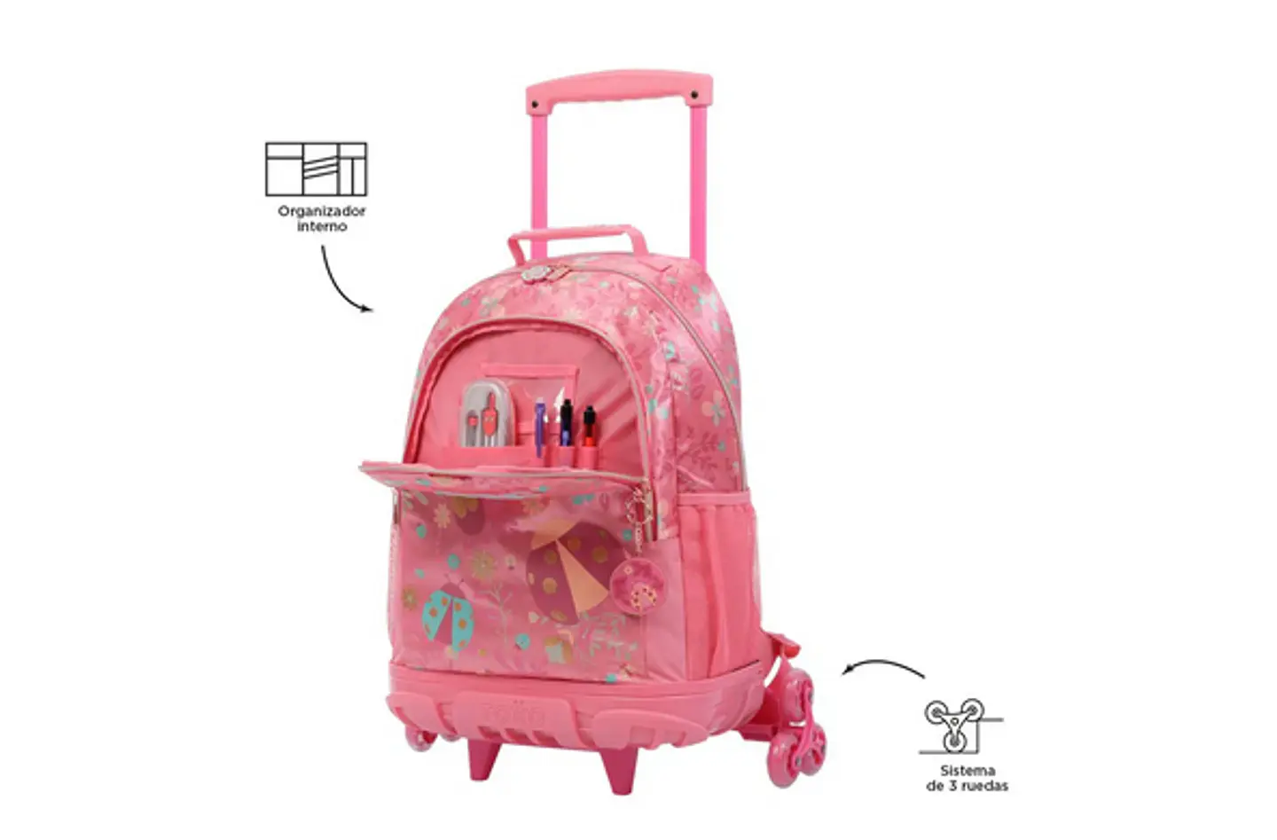 Morral 3 Rue Bomper Catarina L 3