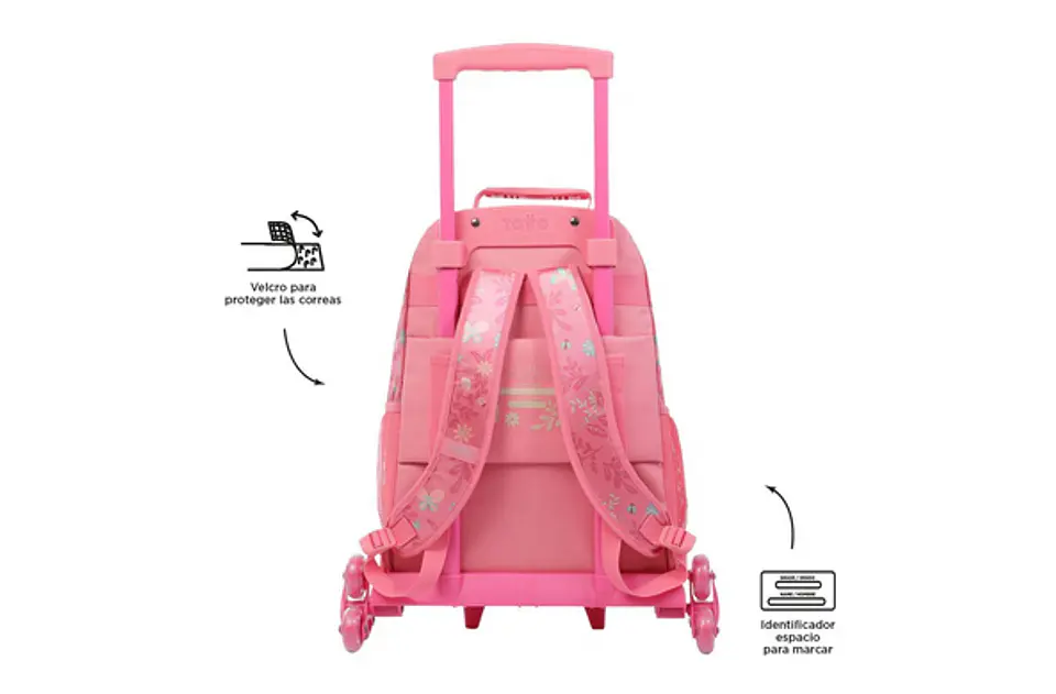 Morral 3 Rue Bomper Catarina L 5
