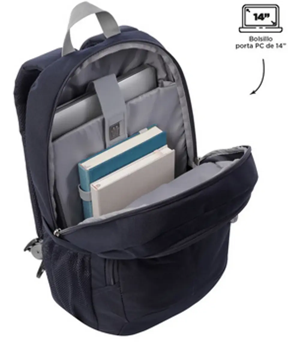 Morral Ribbon 17