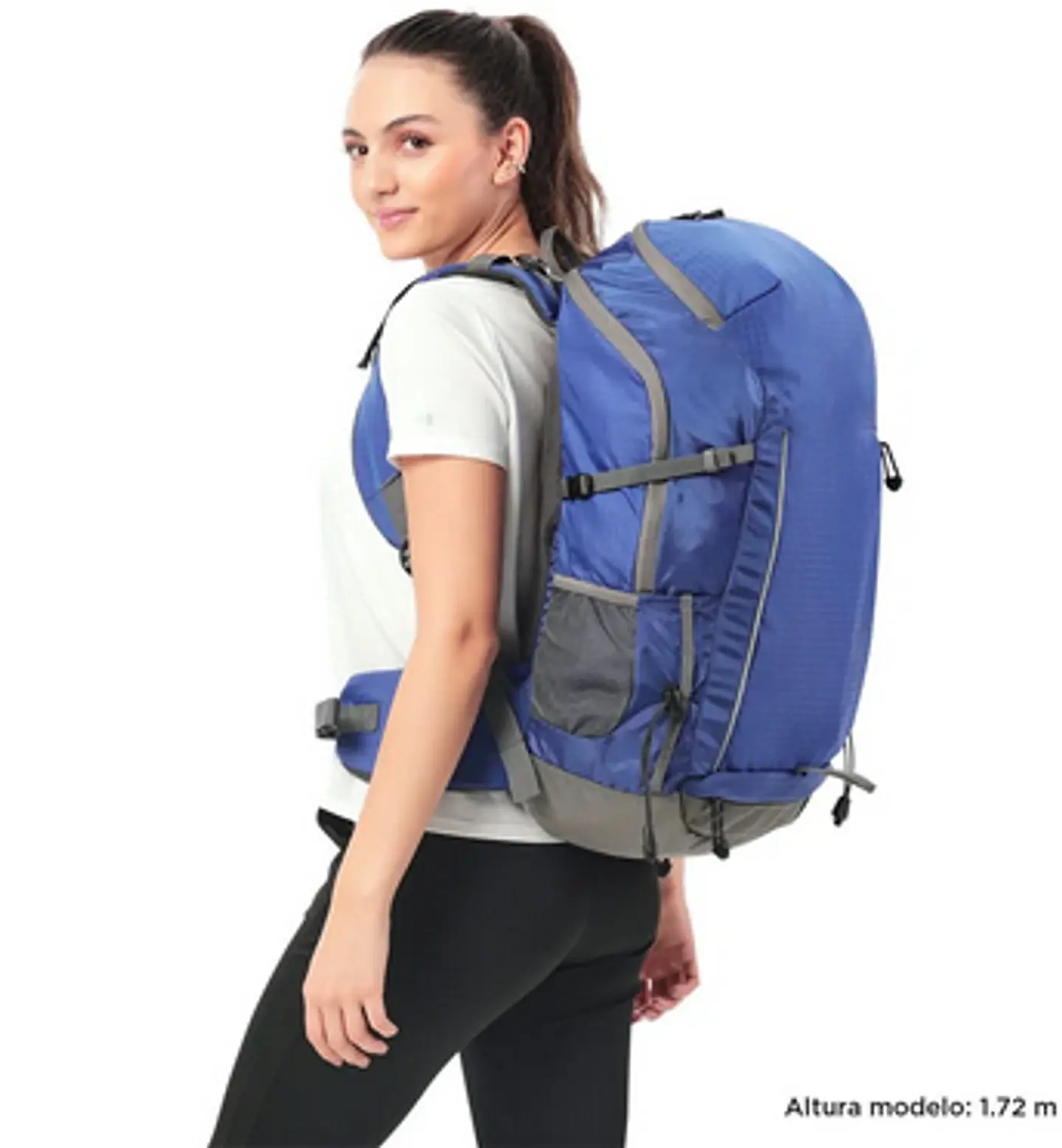 Morral Denali 5