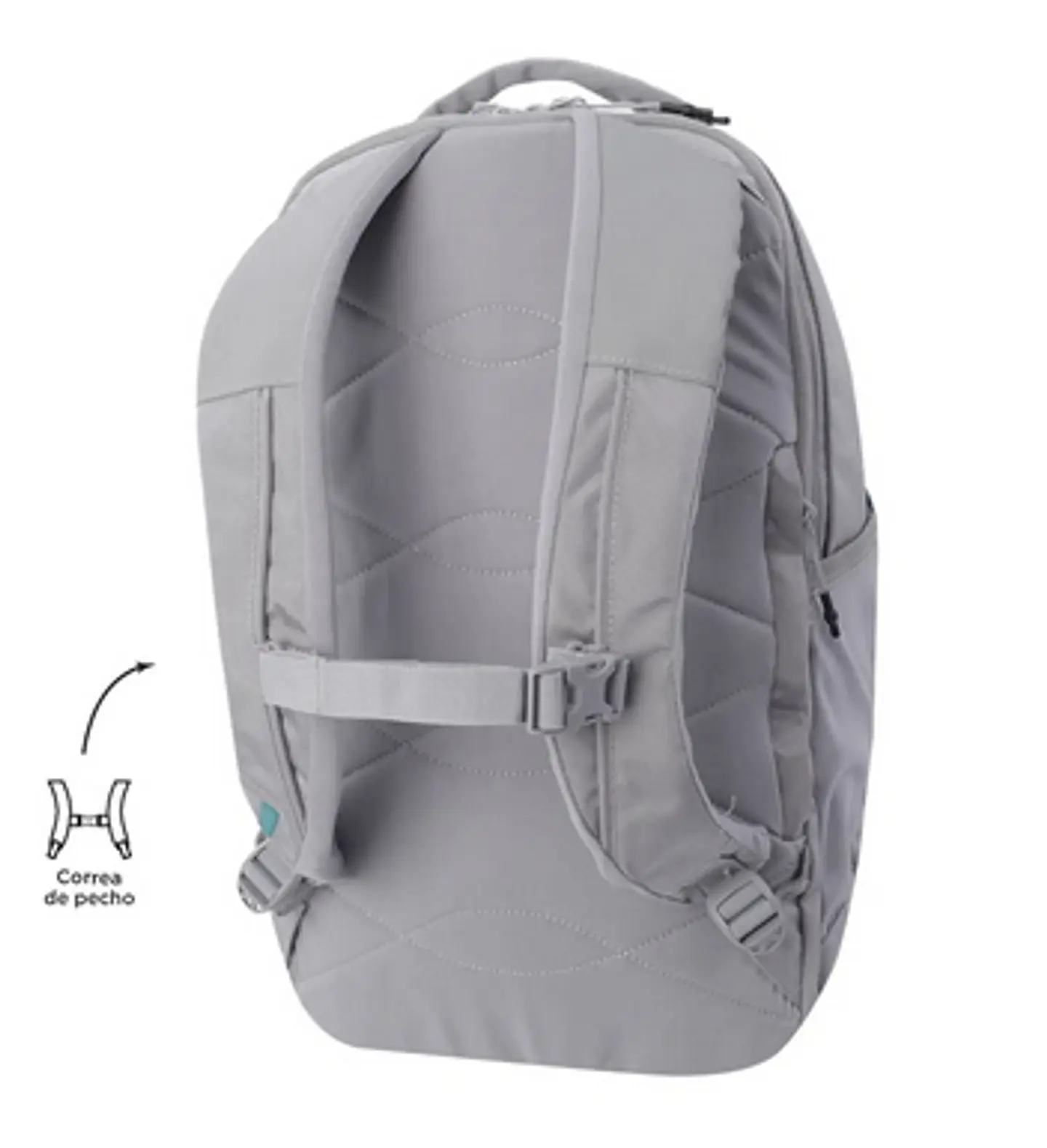 Morral Zeth 18