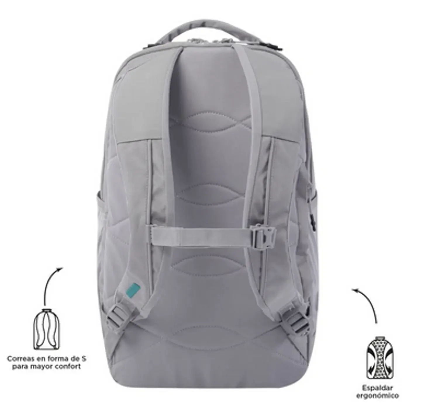 Morral Zeth 16