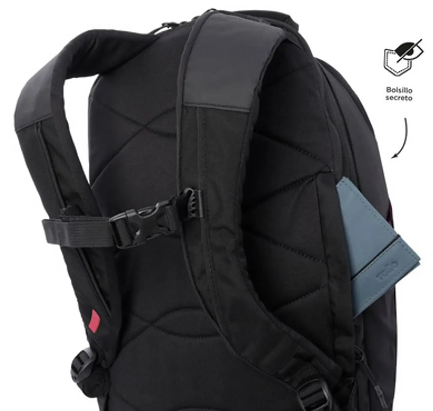 Morral Zeth 8