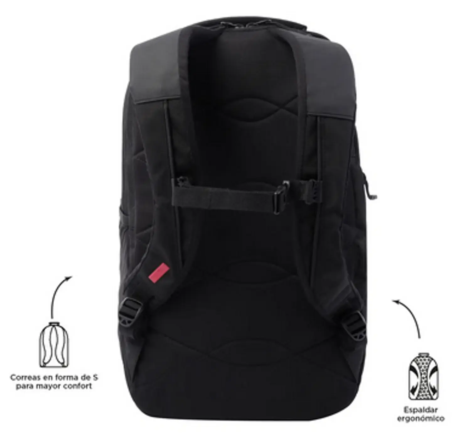 Morral Zeth 9