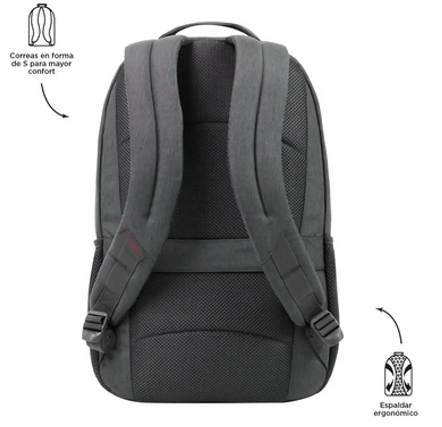 Morral Compliment 18