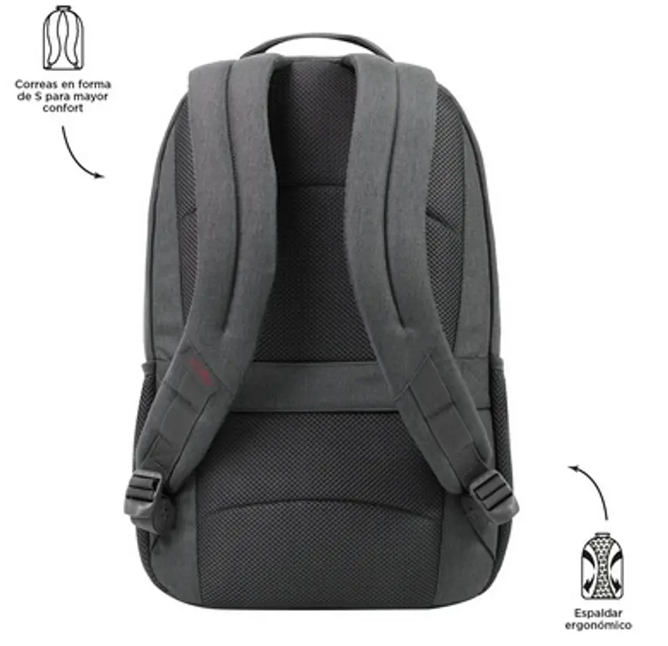 Morral Compliment 18