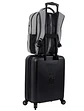 Bolso Dragony - Miniatura 8