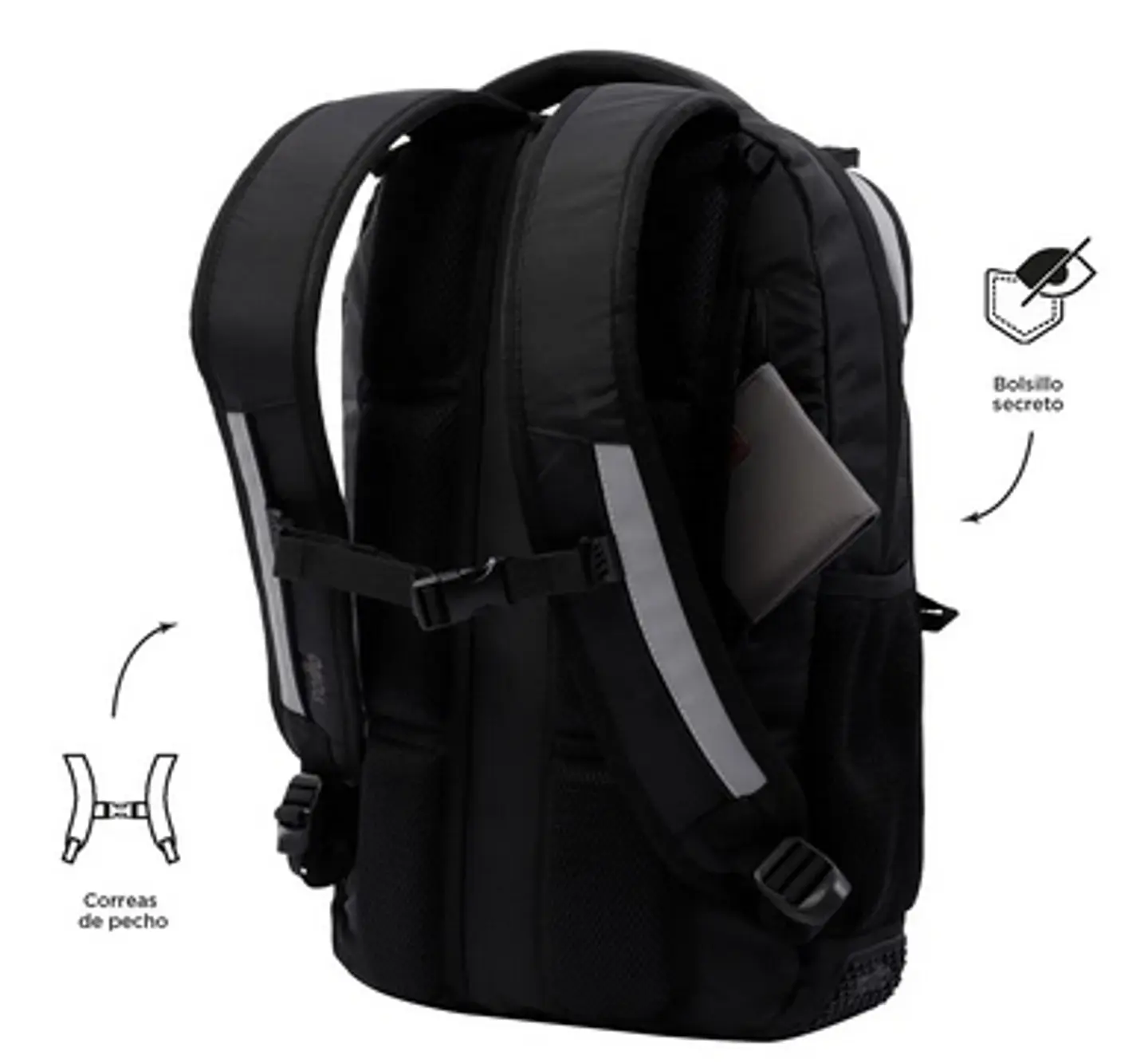 Morral Baures 24