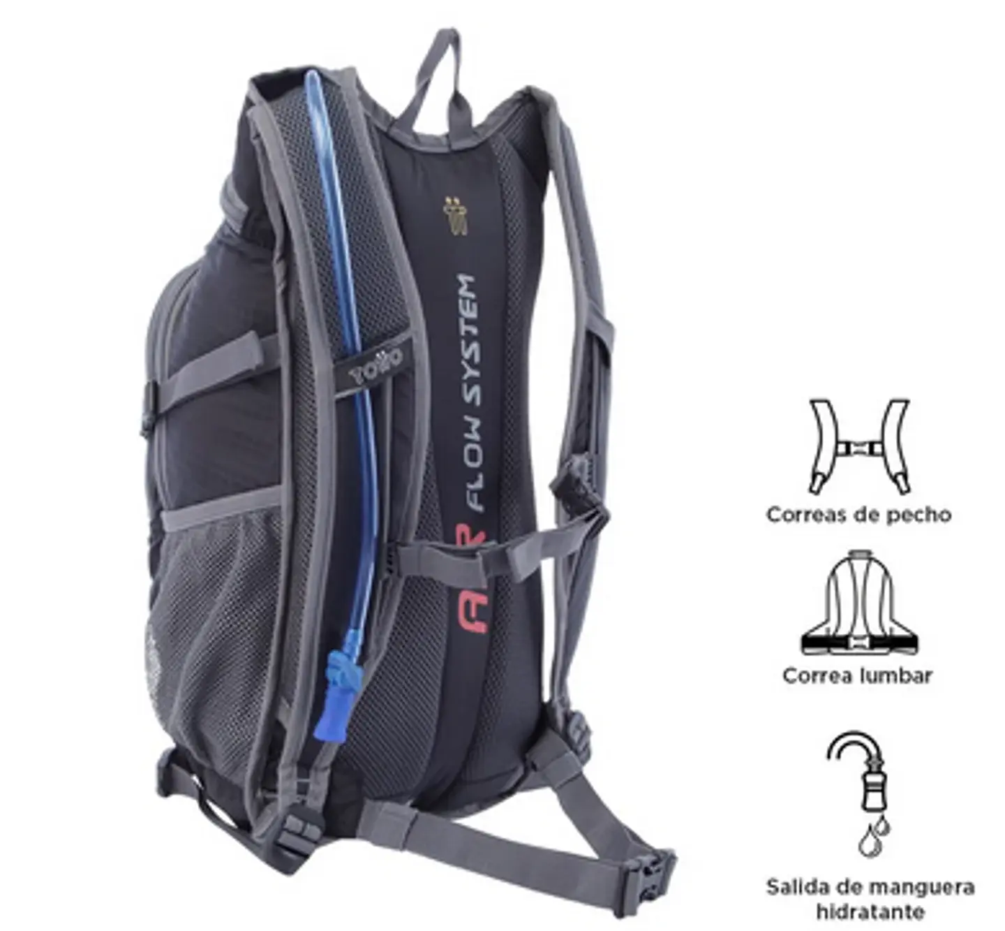 Morral Balard 7