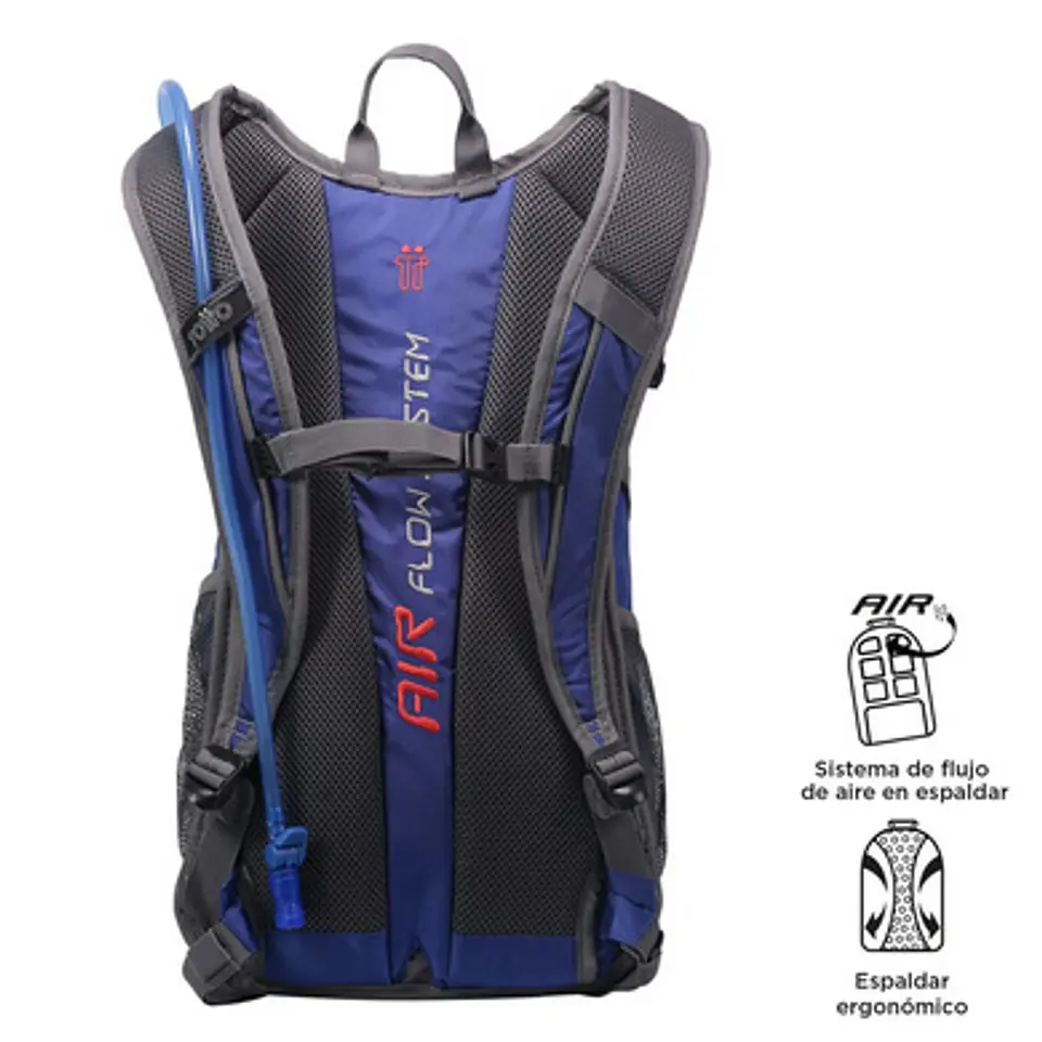 Morral Balard 12