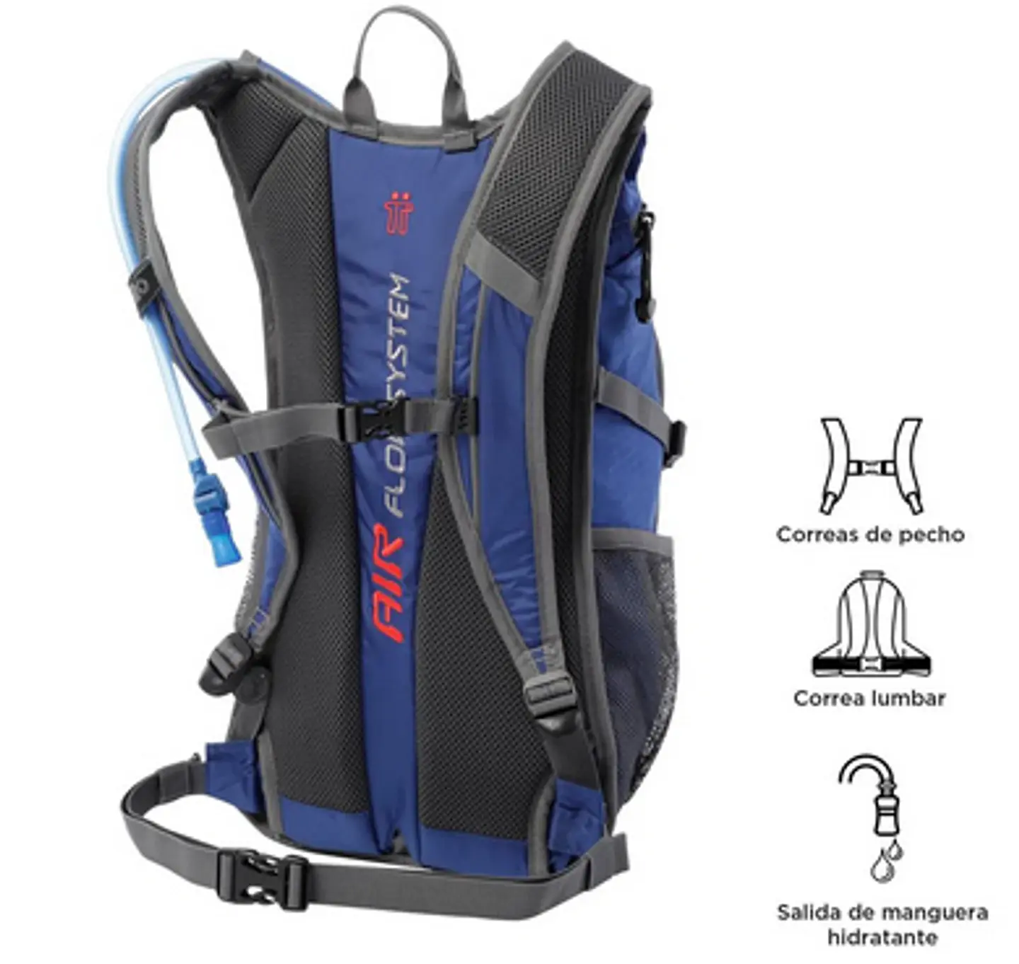 Morral Balard 16