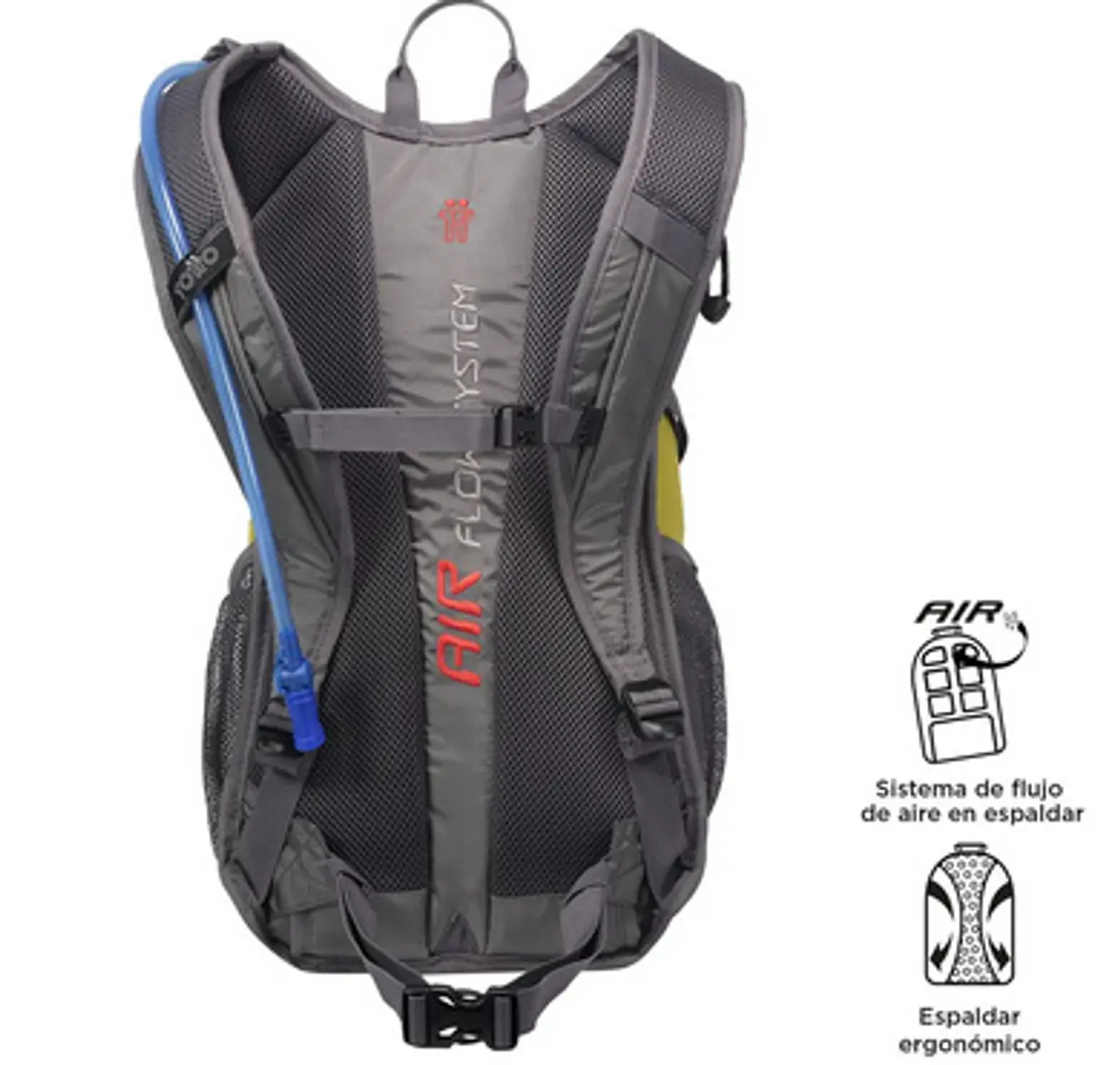 Morral Balard 19