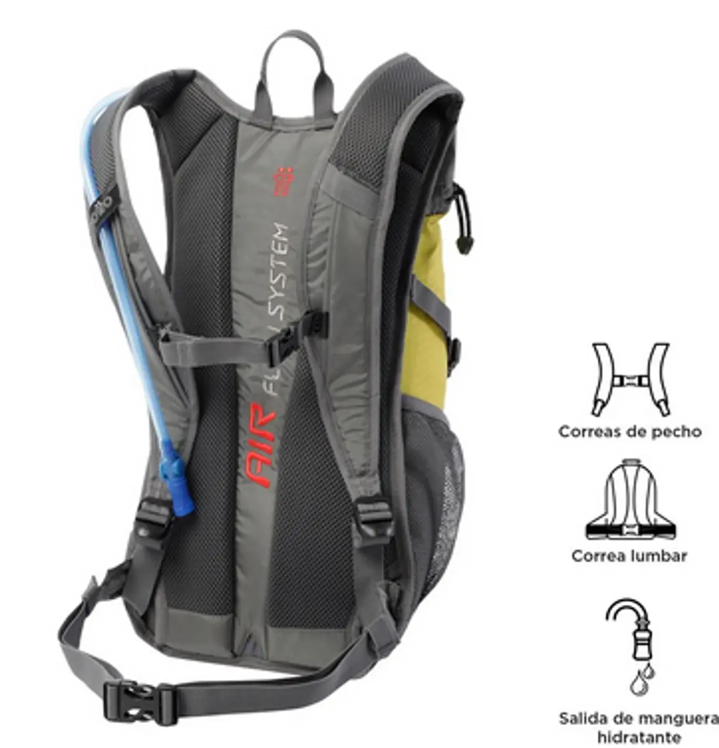 Morral Balard 24