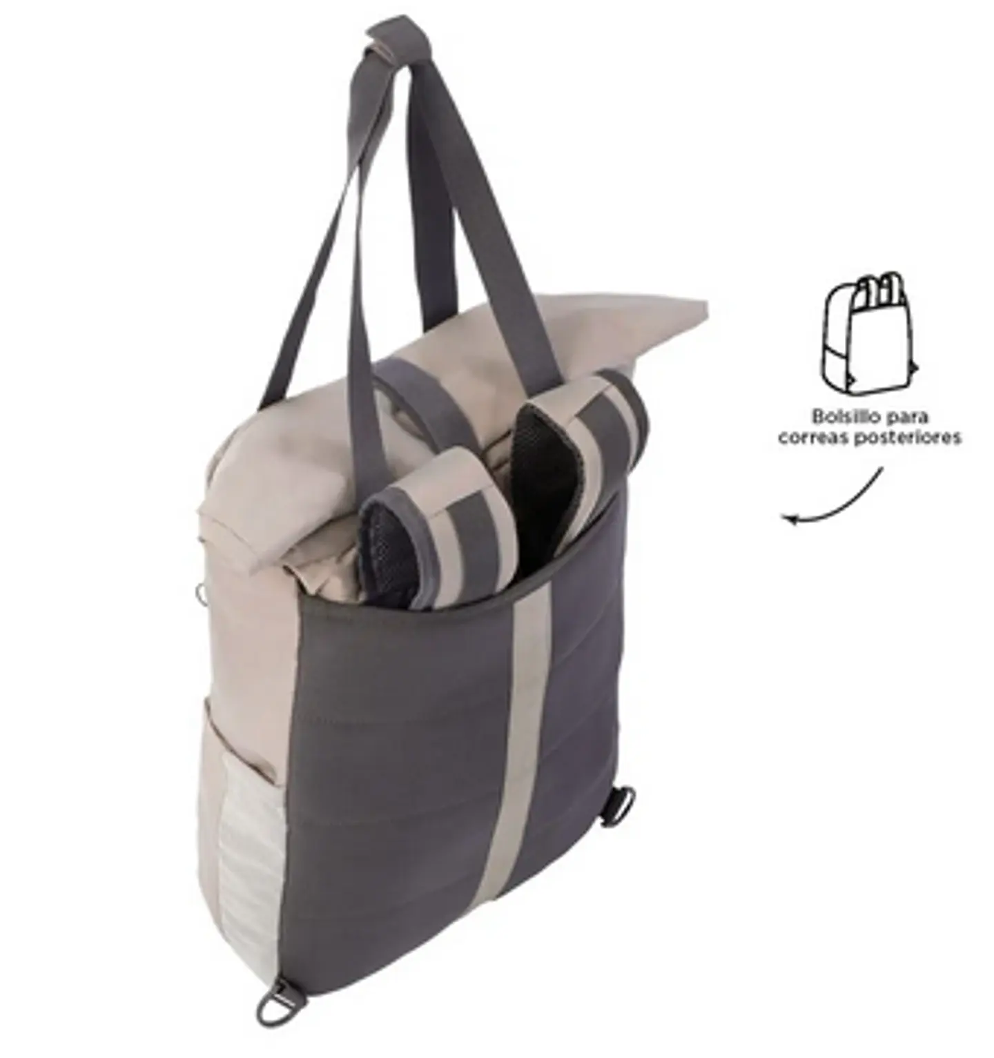 Morral Gloty 4