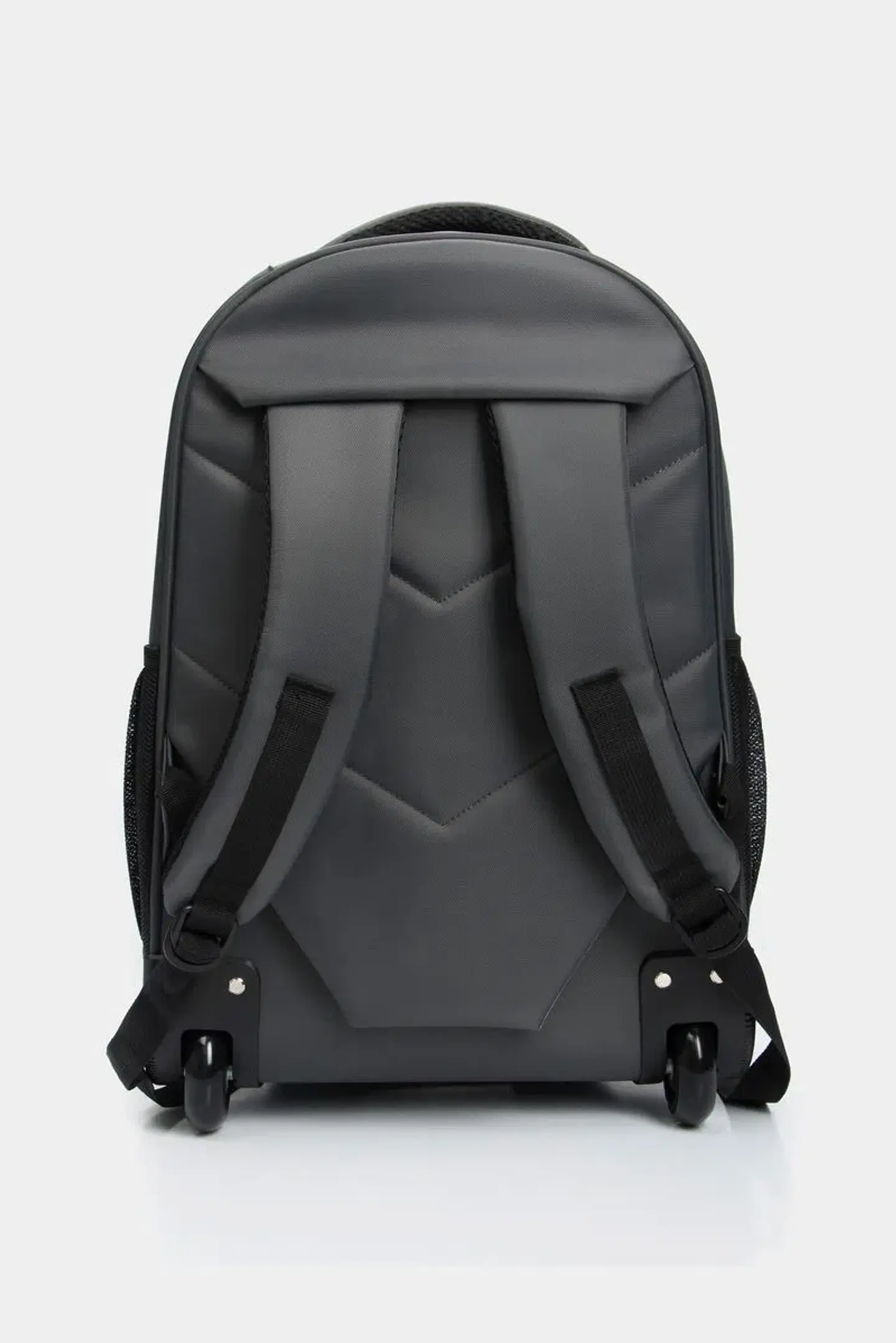 Morral Charlie  6