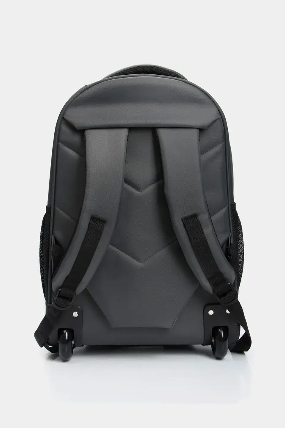 Morral Charlie  6
