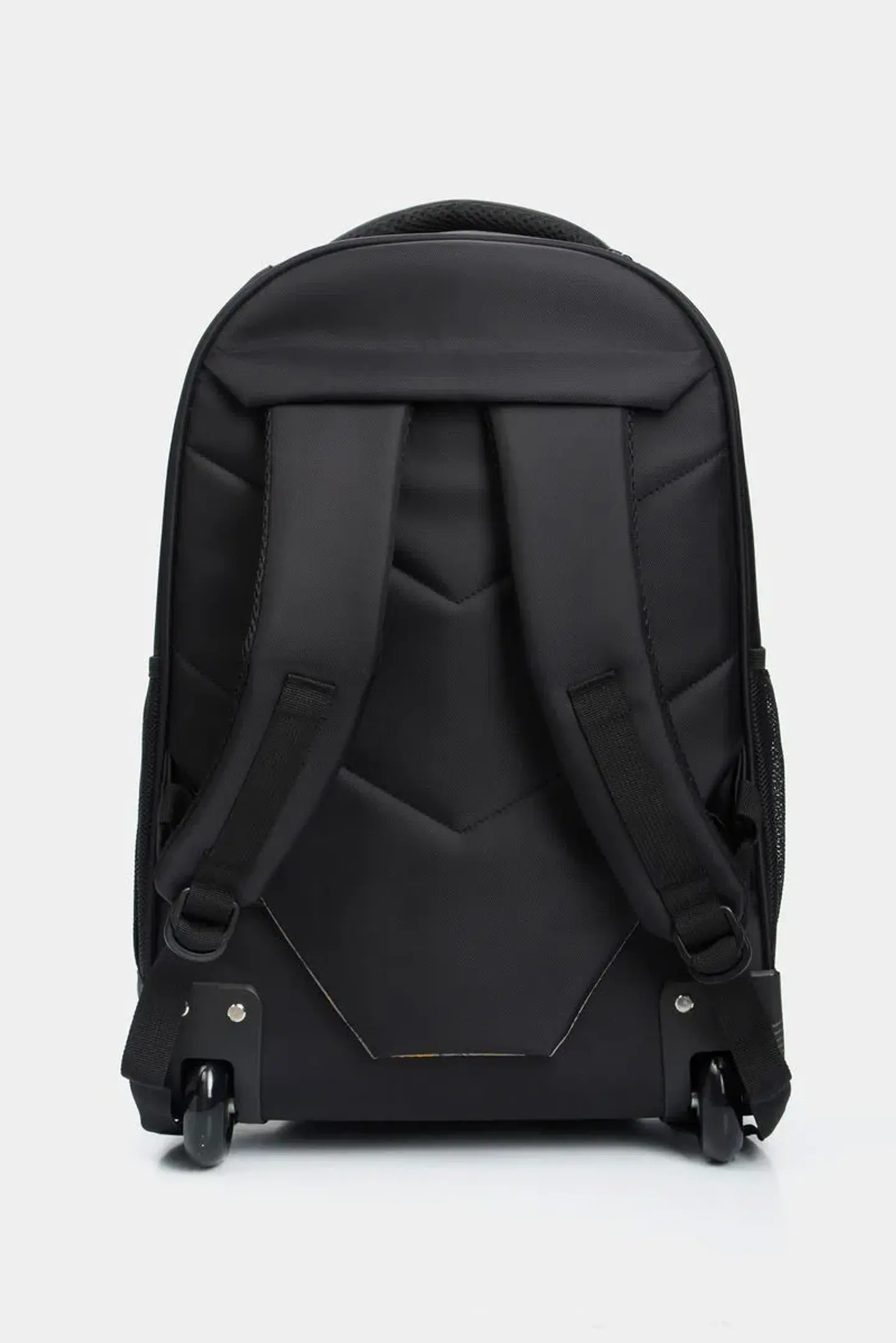 Morral Charlie  11