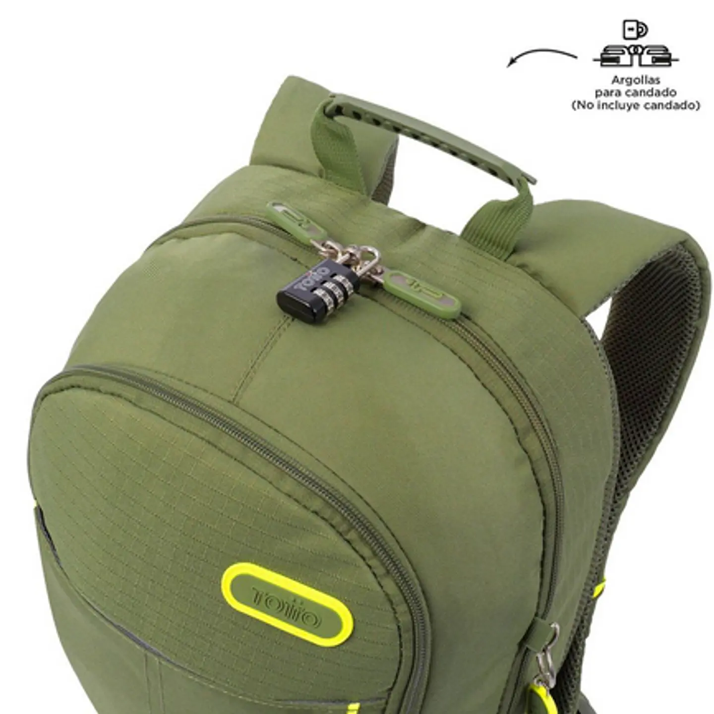 Morral Arvar 28