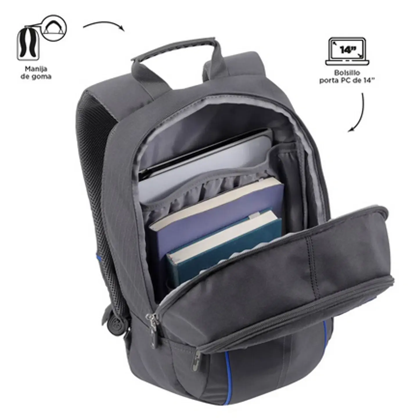 Morral Arvar 36