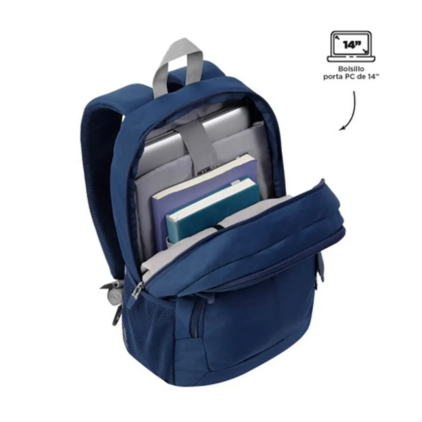 Morral Ribbon 32