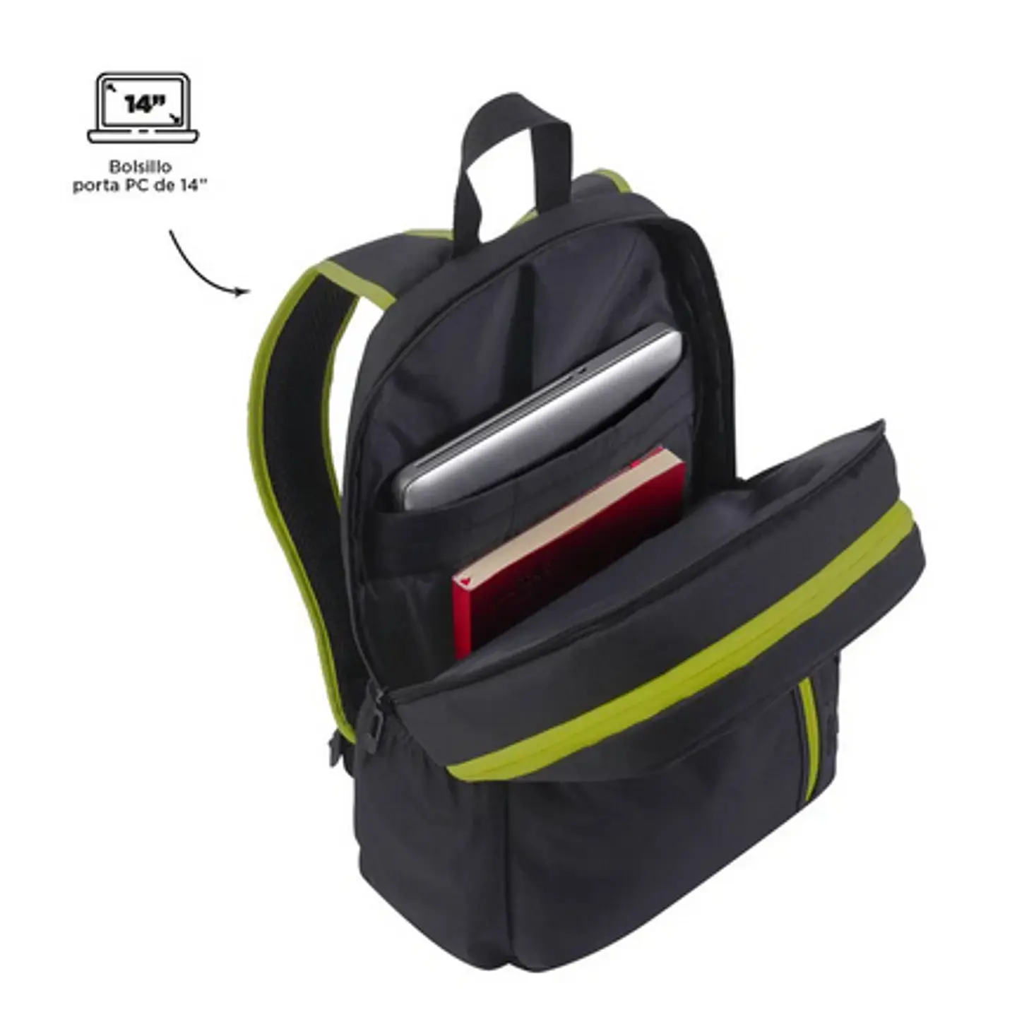 Morral Ajiman 15