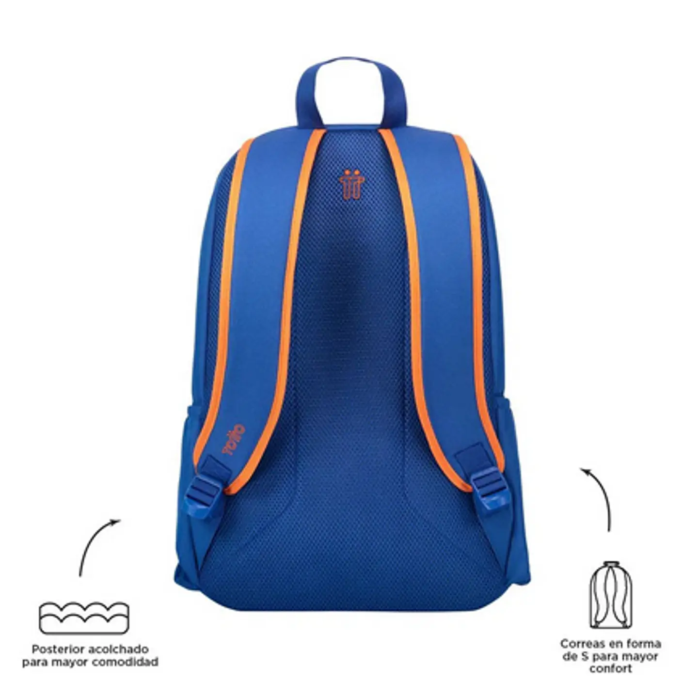 Morral Ajiman 20