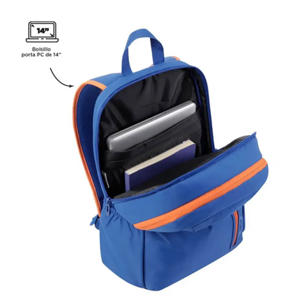 Morral Ajiman 21