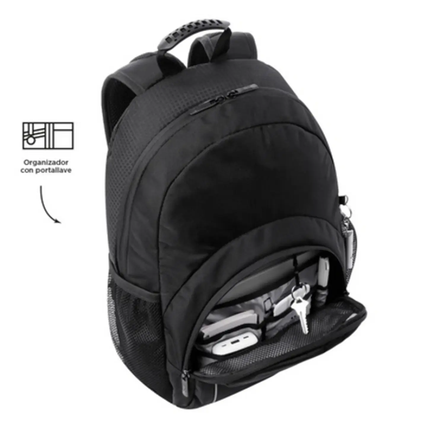 Morral Hierry 5