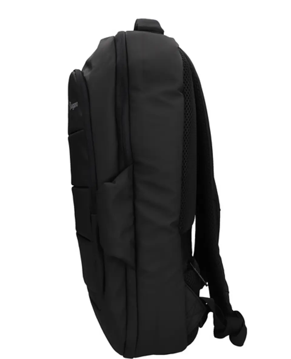 Morral Cienaga 4