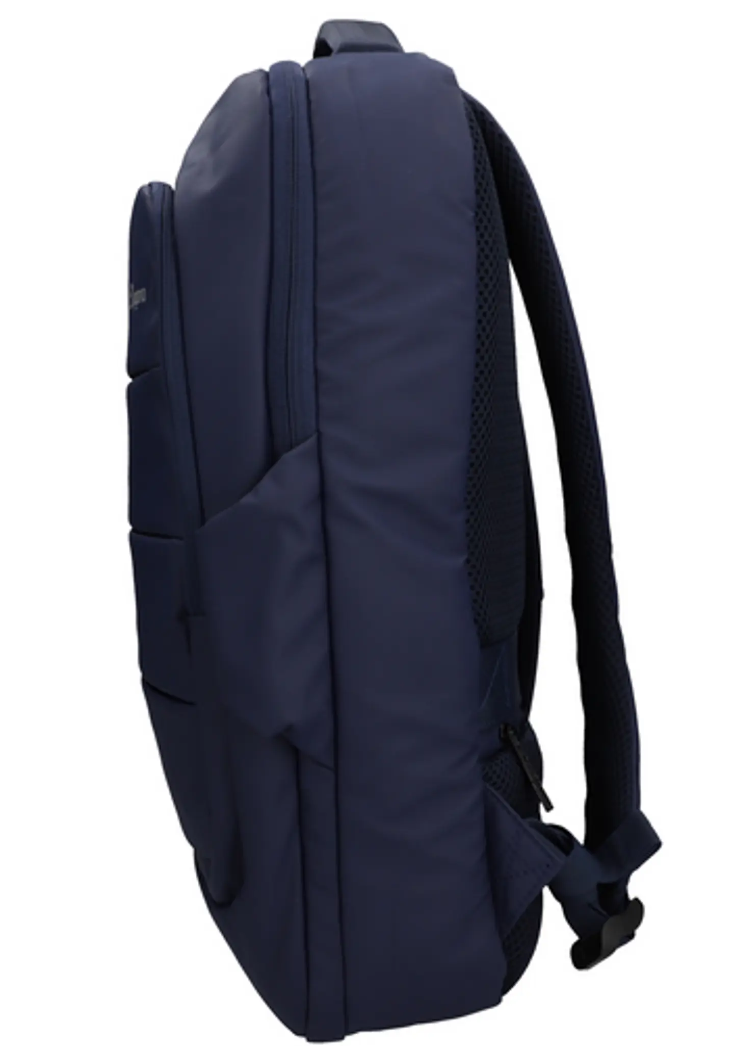 Morral Cienaga 6