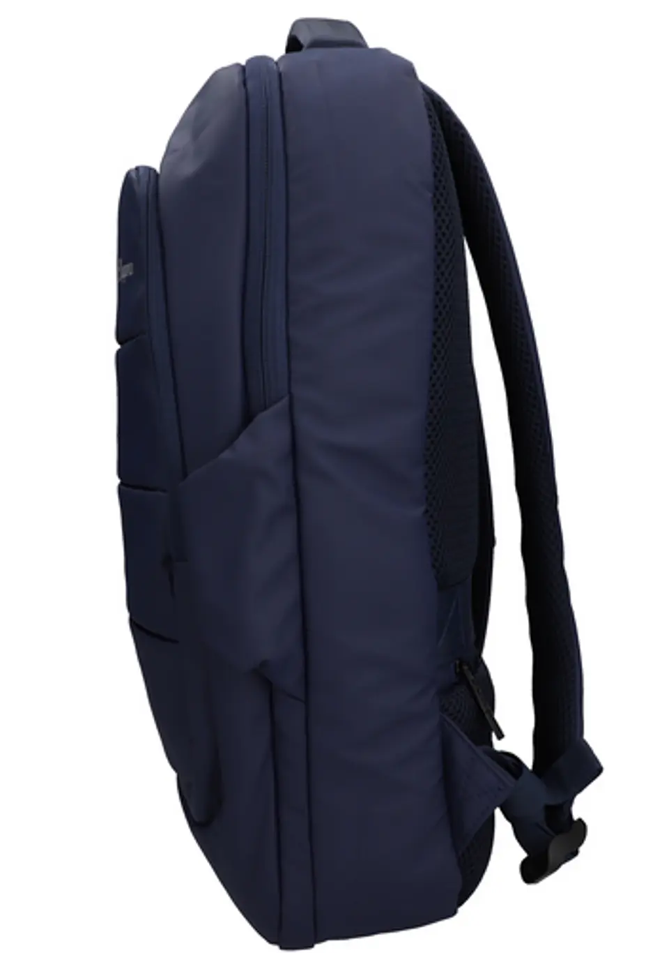 Morral Cienaga 6