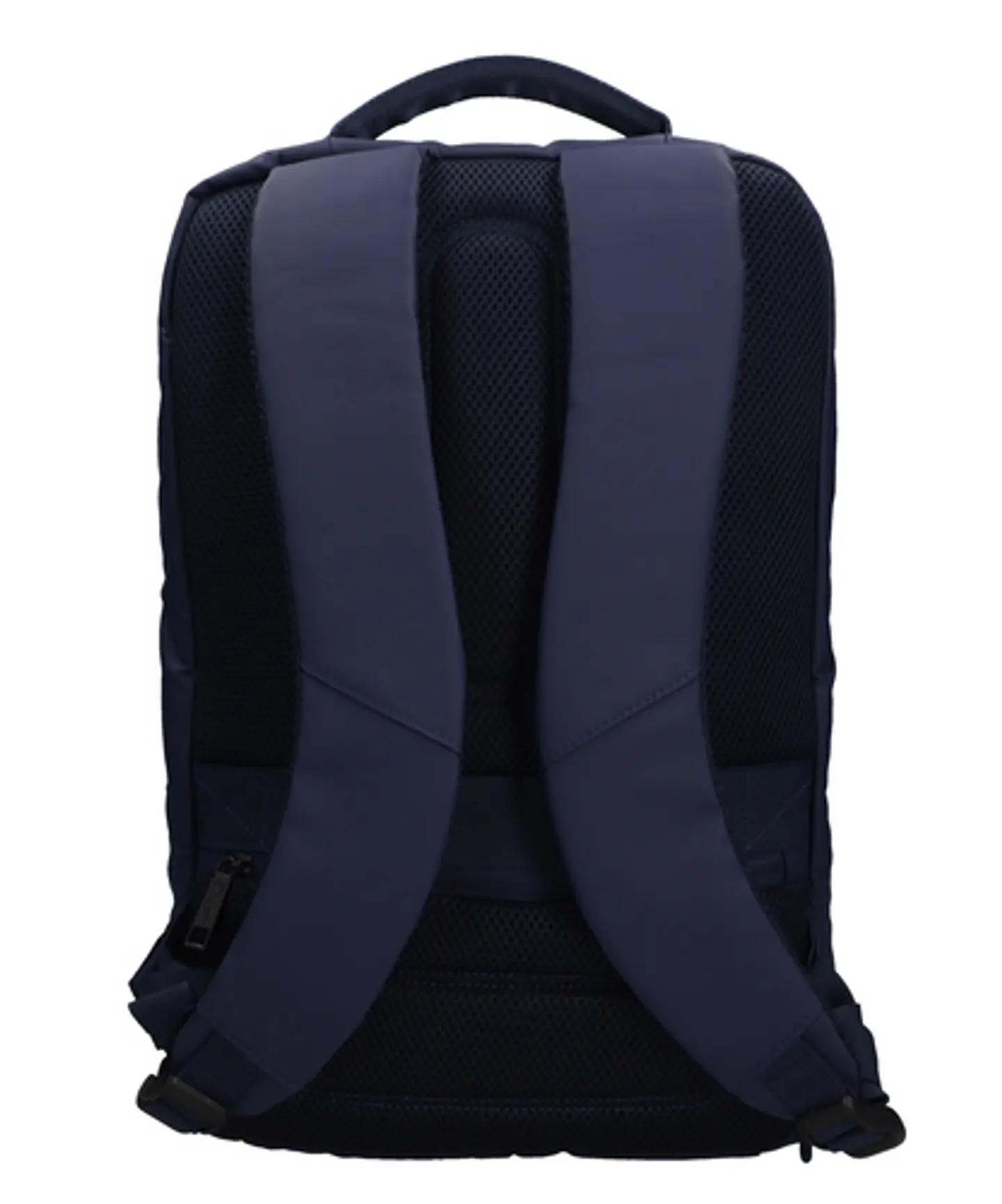 Morral Cienaga 7