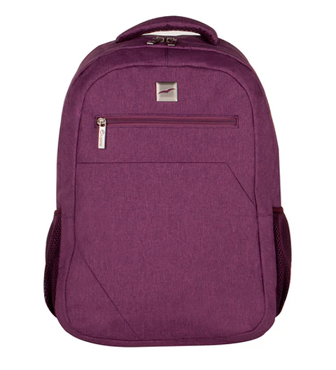 Morral Toledo