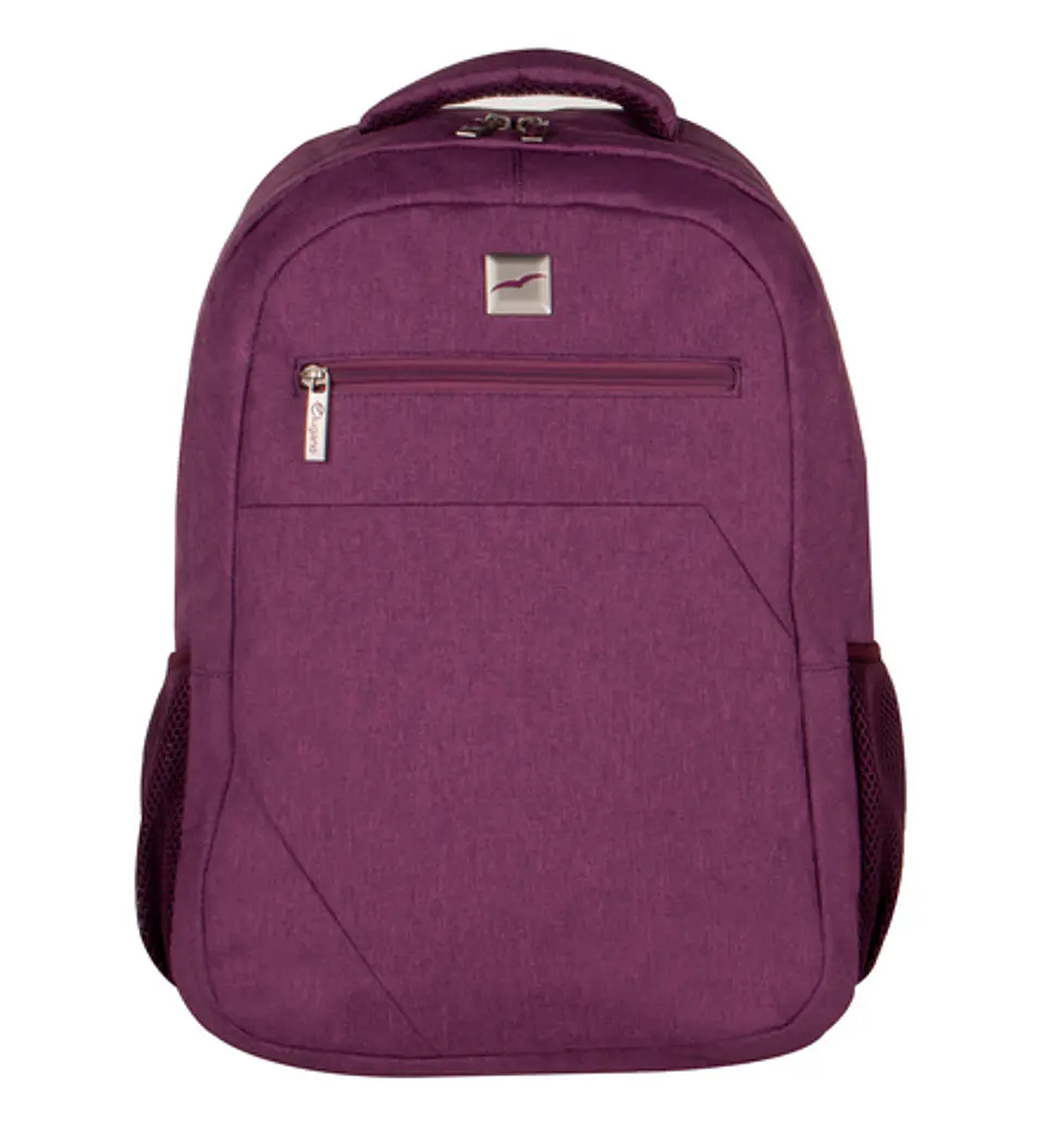 Morral Toledo 1