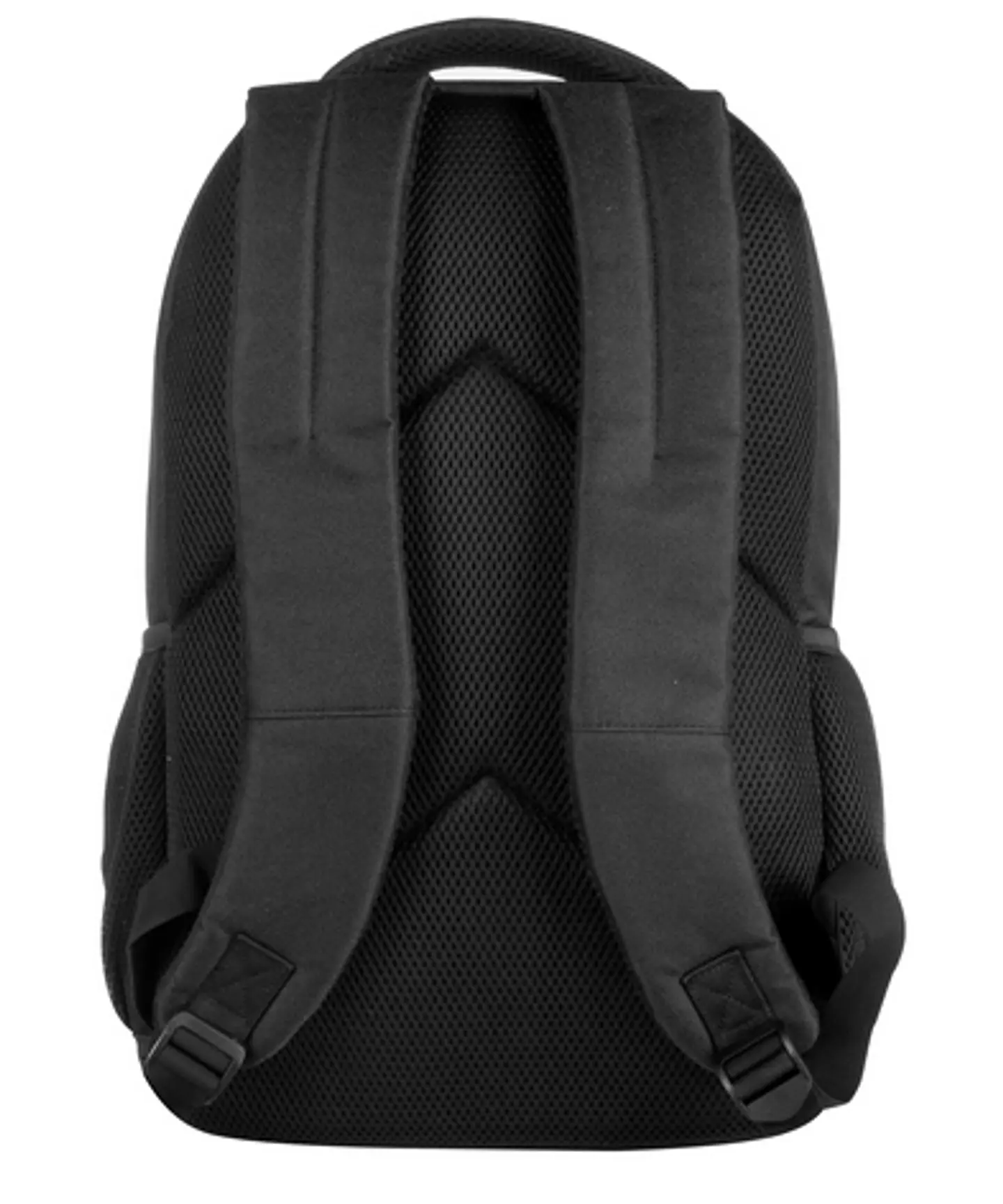 Morral Palomino 3