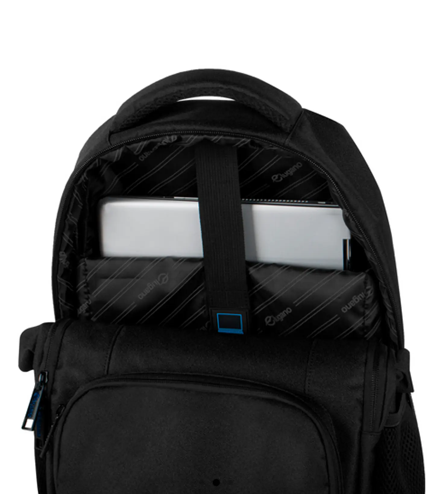 Morral Palomino 6