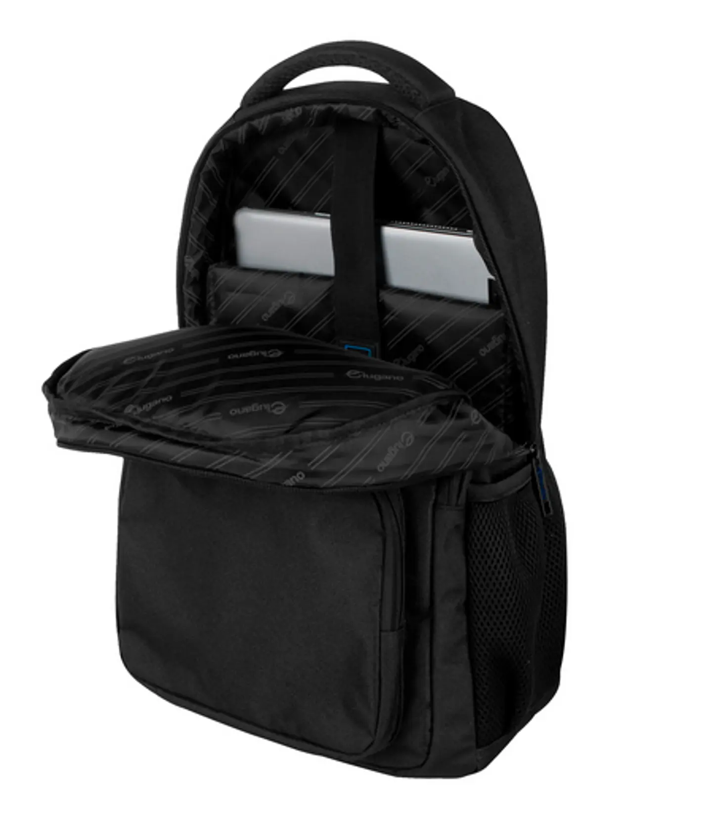 Morral Palomino 7