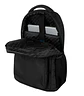 Morral Palomino - Miniatura 7